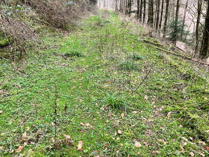 24-02-28 11-48-11 8773